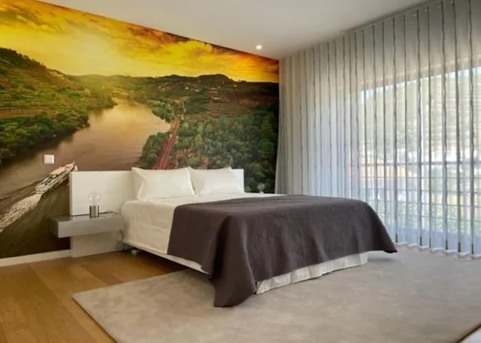 Avec Piscine Dans La Région Du Douro *