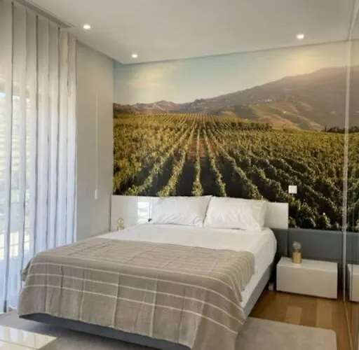 Avec Piscine Dans La Region Du Douro Villa *